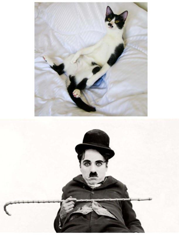 Charlie Chaplin