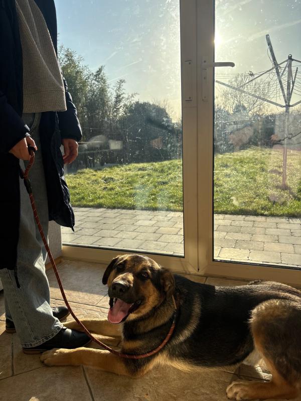 Gölge [ˈɡølɡə]