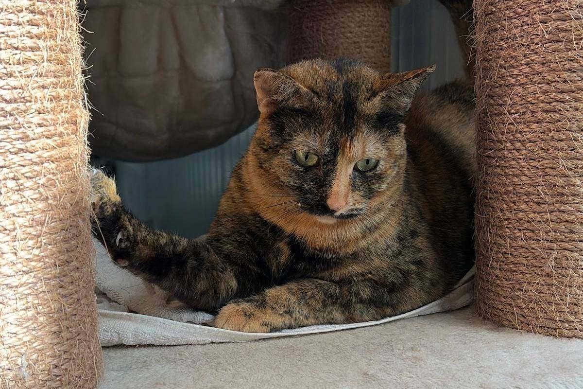 Ethel