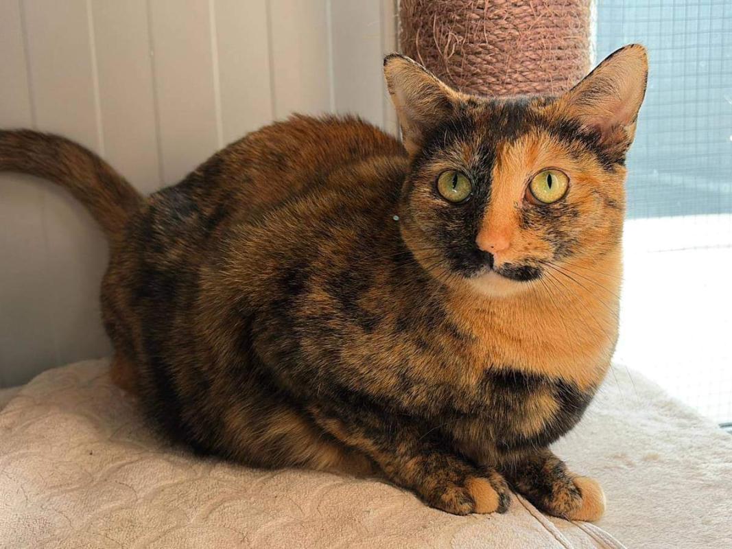 Ethel