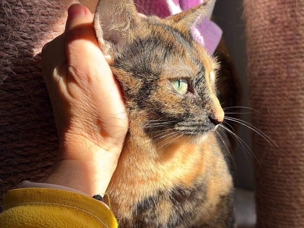 Ethel