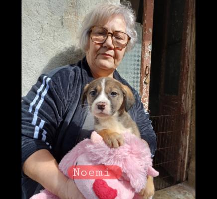Noemi