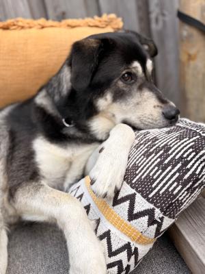 Yuki