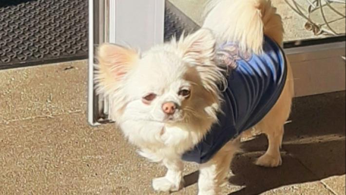 Ciro ( bijnaam Pukkie)