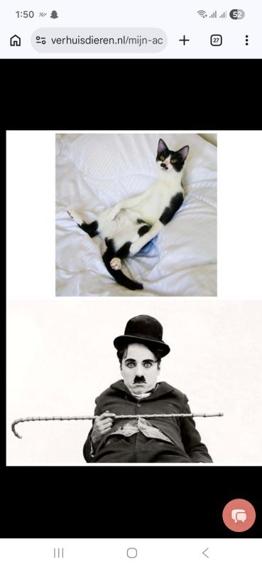 Charlie Chaplin
