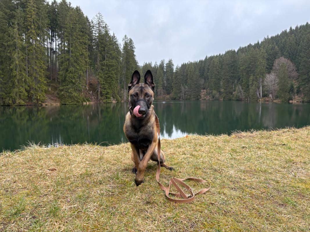 Otis
