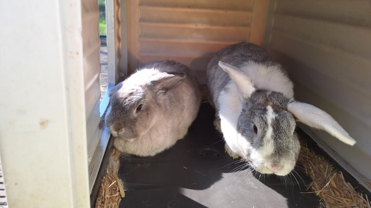 Buba + Meissie