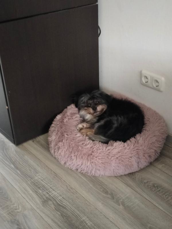 Milo