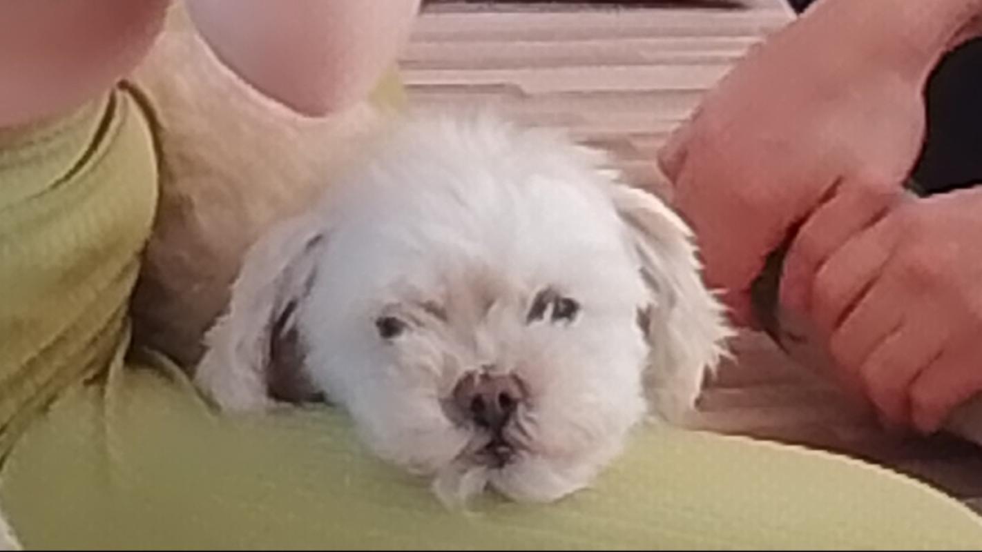 Bowie