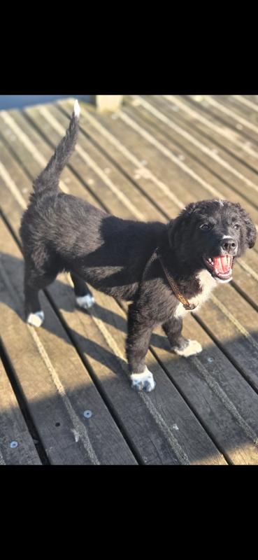 Tilly