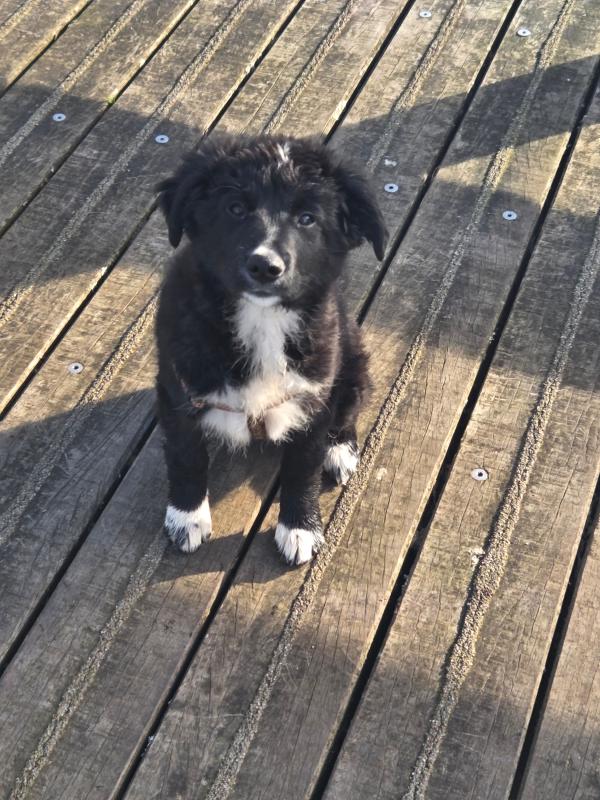 Tilly