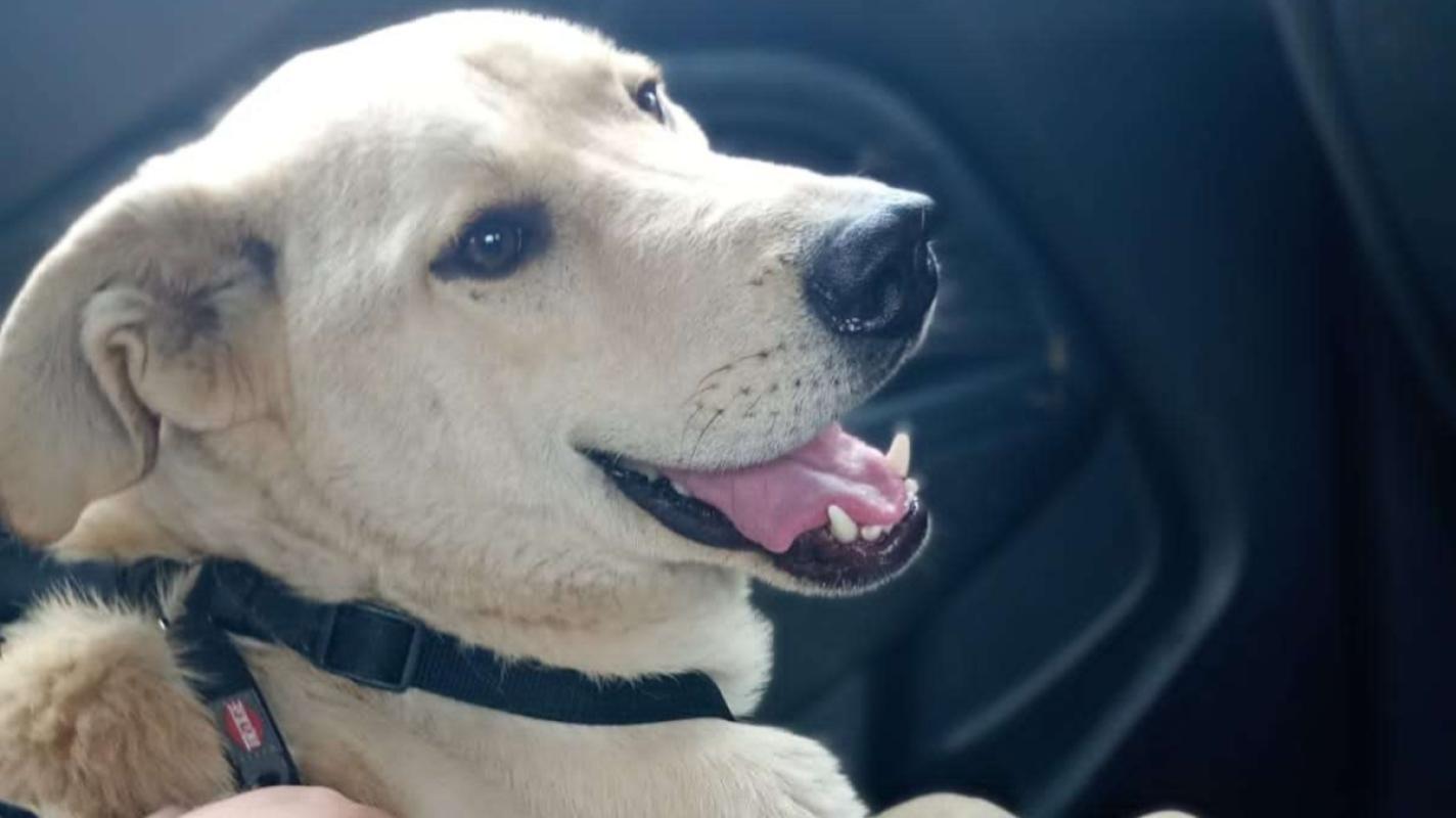 Marley
