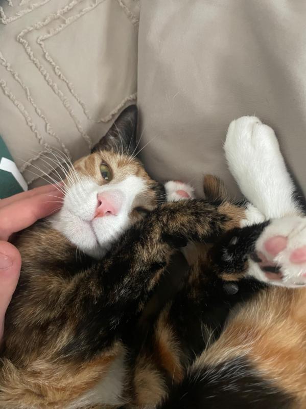 Luna