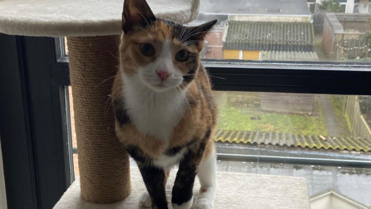 Luna