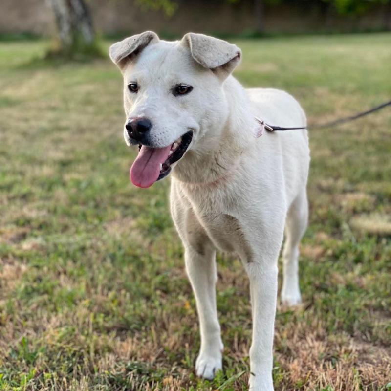 Yuki