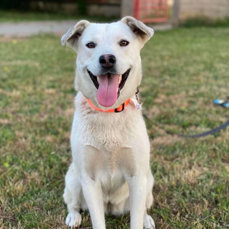 Yuki