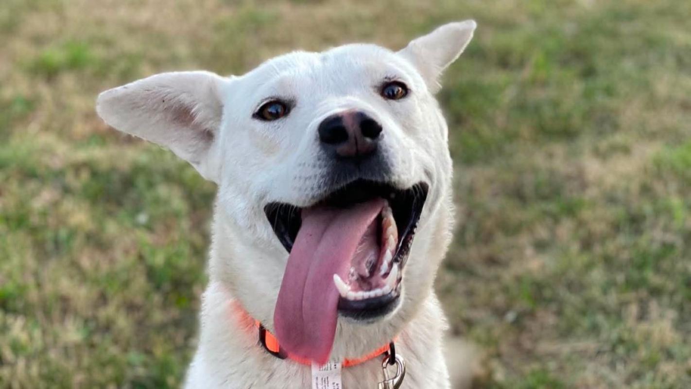 Yuki
