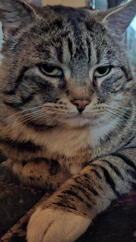 Gijs(je)