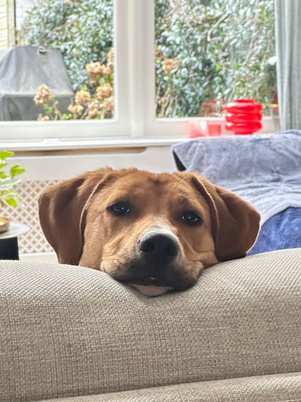 Kira