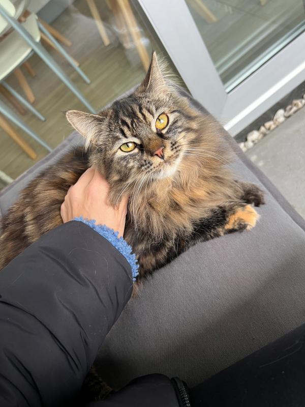 Luna