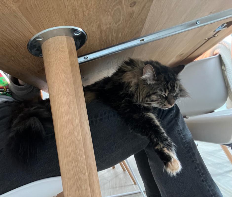 Luna