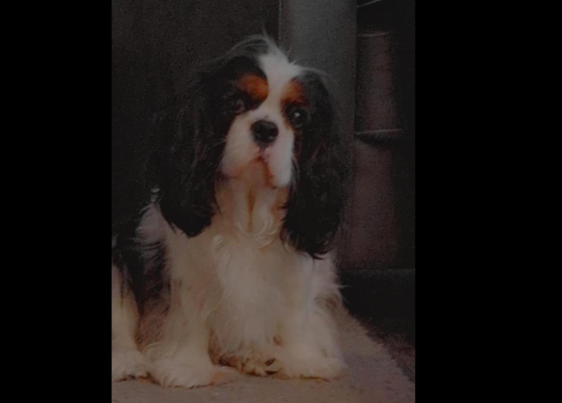 Charly