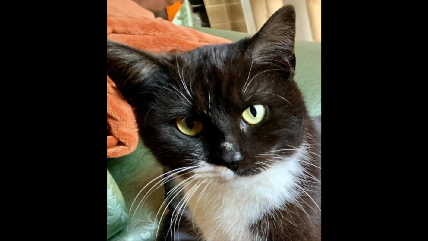 Suzan