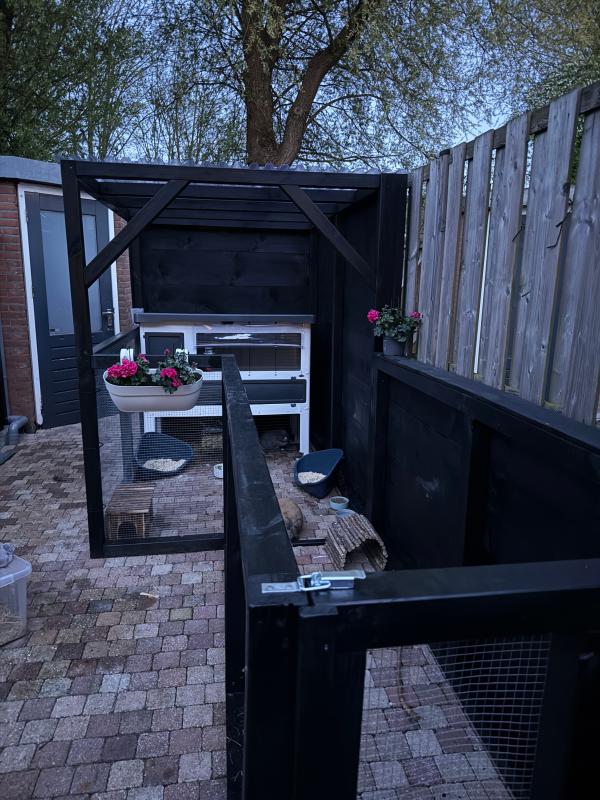 Woezel + Pip + Bollie