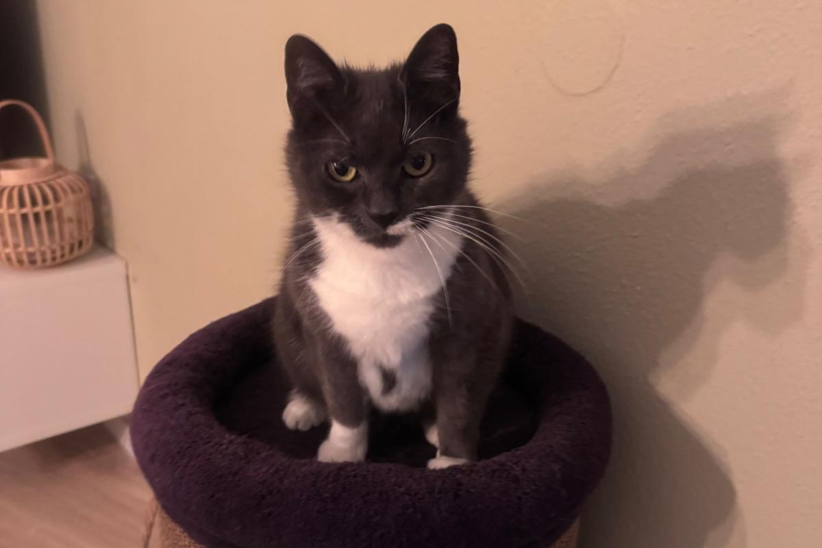Fred