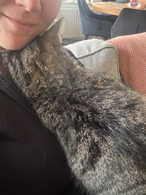 Wolfie