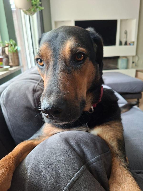 Nora
