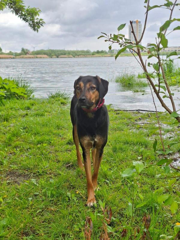 Nora