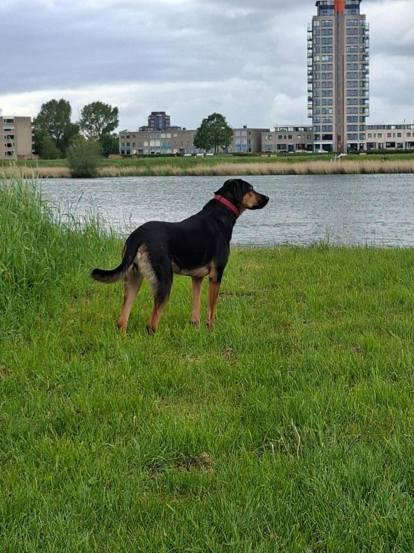 Nora