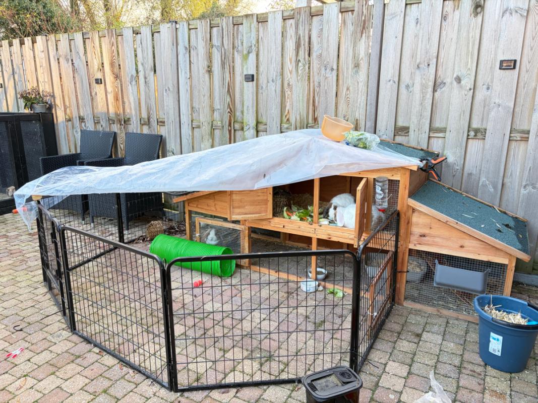 Vlekkie + Snoepie + Spekkie