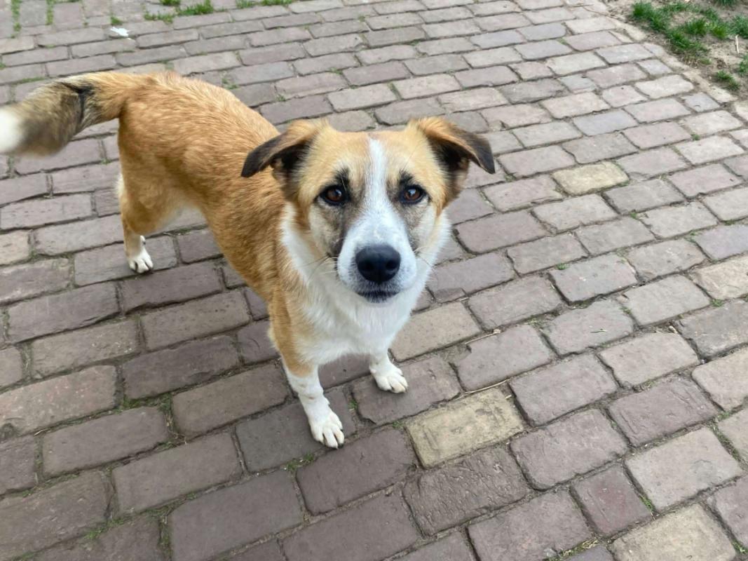 Lucy