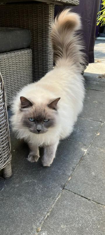 Max