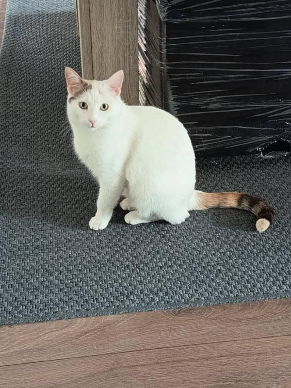 Coco
