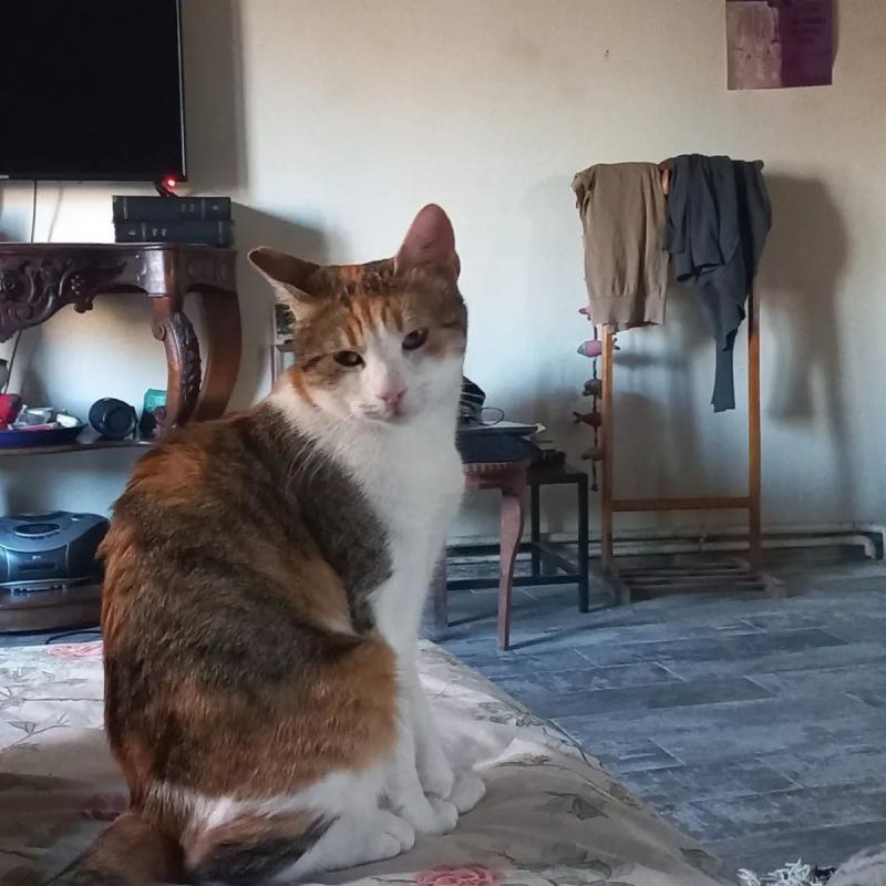 Nina