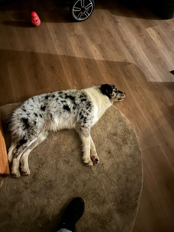 Billie
