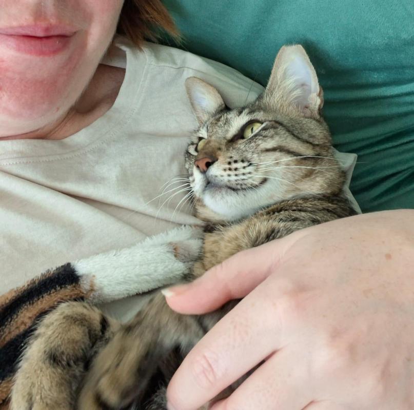 Hazel