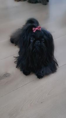 Roxy