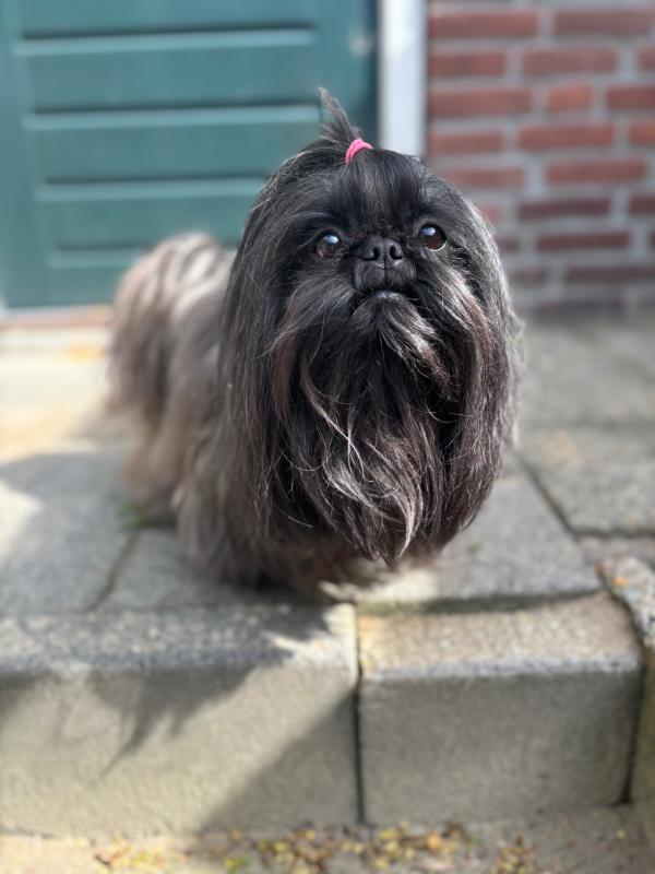Roxy