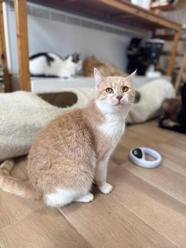 Mirada
