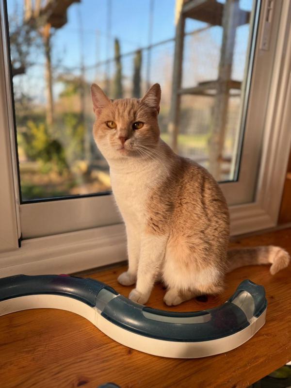 Mirada