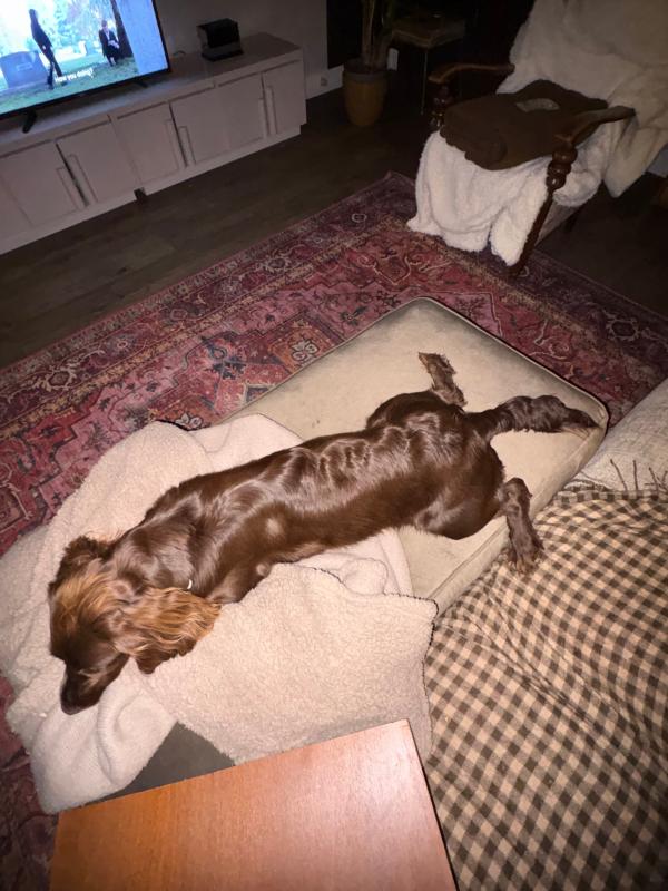 Bonnie