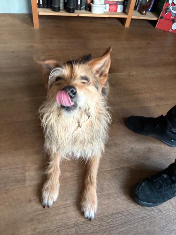 Goofy
