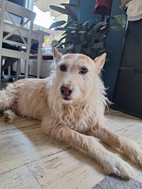Marcelo