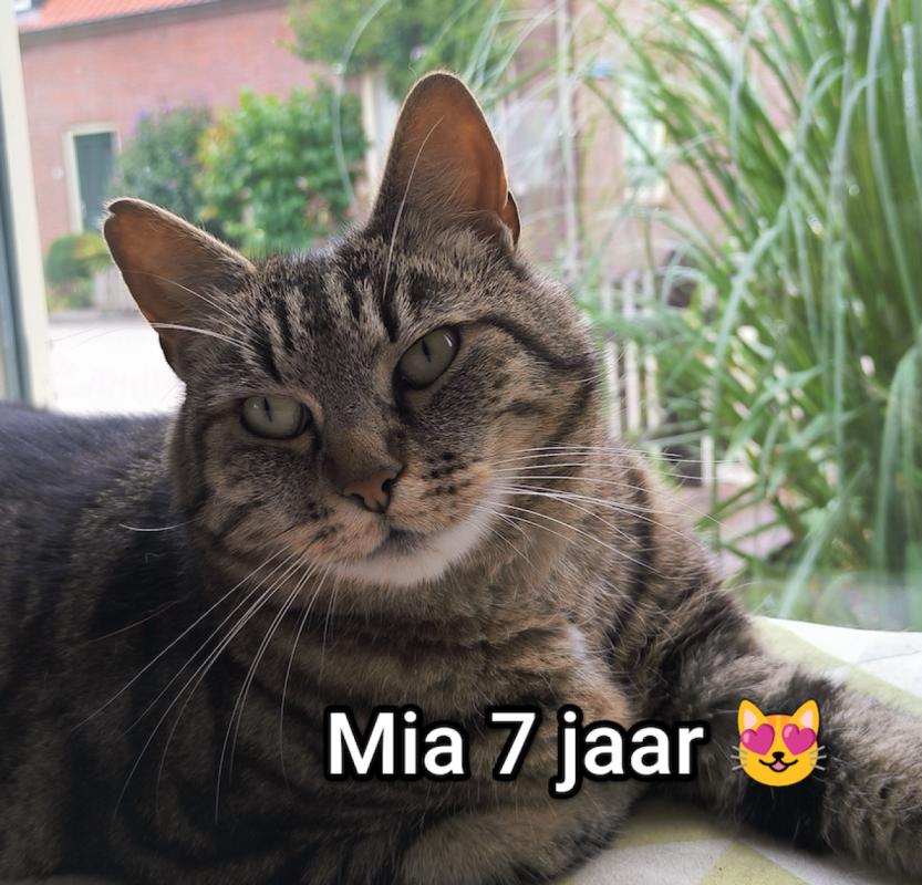 Mia