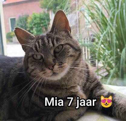 Mia