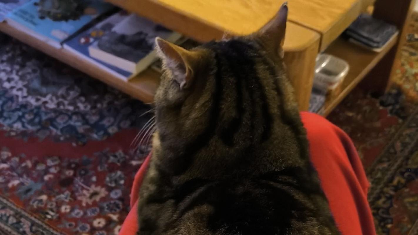 Mia